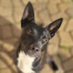 Meet your Posher, Lexi